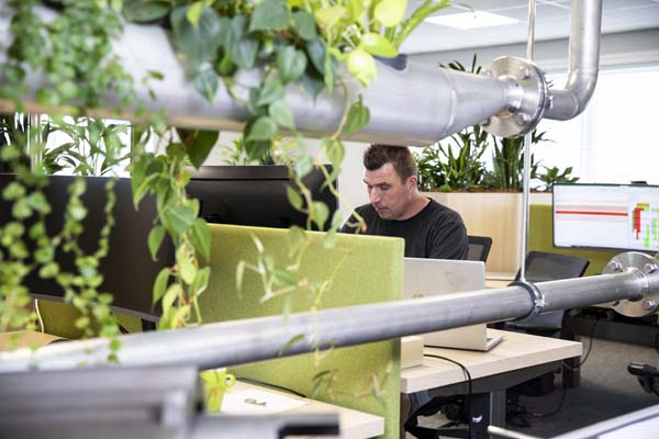Teamlead Customer Service